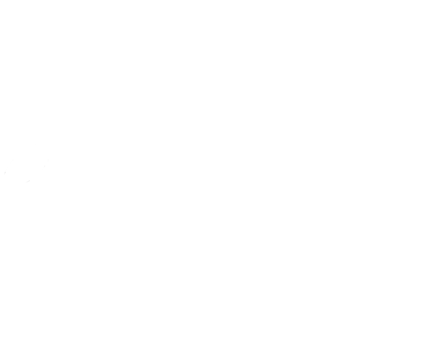 AA Organisation